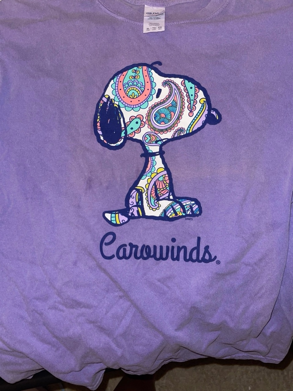 Gildan Lavender Kids Long Sleeve Tee with Paisley Snoopy Graphic